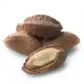 Brazil Nuts